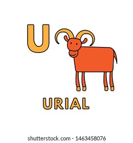 Alphabet with cute cartoon animals isolated on white background. Flashcard for children education. Vector illustration of urial and letter U