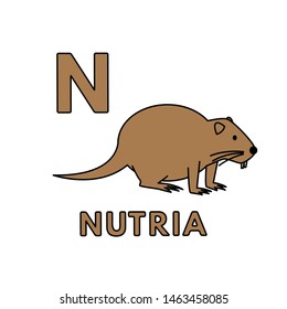 Alphabet with cute cartoon animals isolated on white background. Flashcard for children education. Vector illustration of nutria and letter N