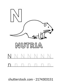 Alphabet with cute cartoon animals isolated on white background. Coloring pages for children education. Vector illustration of nutria and tracing practice worksheet letter N