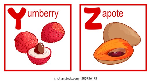 An alphabet with cute fruits, letters Y to Z. Cartoon vector alphabet isolated on a white background.