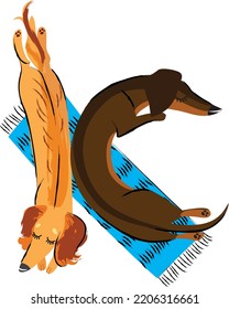 Alphabet of dachshunds, letter K
