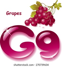 Alphabet. English capital and uppercase letter G, stylized color of grapes juice. bunch grapes with leaf. vector illustration