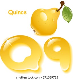 Alphabet. English capital and uppercase letter Q, stylized color of quince juice. yellow quince with leaf. vector illustration