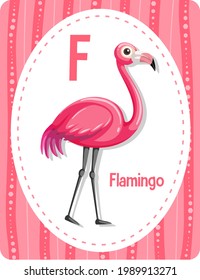 Alphabet flashcard with letter For Flamingo illustration