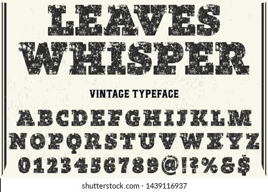 alphabet Font Script Typeface handcrafted handwritten vector label design old style.Shadow Effect.vintage Hand Drawn.Retro Typography.Vector Illustration.