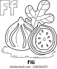 alphabet fruit fig for coloring with word, hand drawn letter fruit cartoon