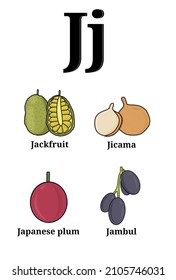 Alphabet with fruit names. Fruit collection cards with the letter J, namely jackfruit, jicama, Japanese fruit, and jambul. Children's study cards to recognize the names of fruits.