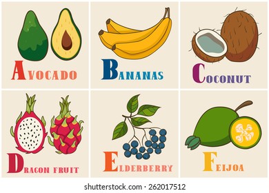 Alphabet & Fruit Vector Set. Illustration. Education for children, preschool, cute, poster. Hand Drawn.
