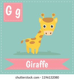 alphabet G letter flashcard
Giraffe for kids learning English vocabulary.
Cute children ABC animal zoo.
Instruction media
Vector illustration.