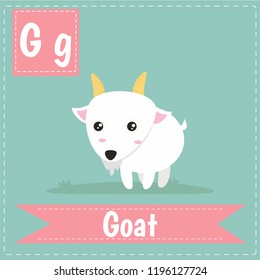 alphabet G letter flashcard
Goat for kids learning English vocabulary.
Cute children ABC animal zoo.
Instruction media
Vector illustration.