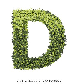 Alphabet of green leaves collection. Decorative symbols isolated on white background.