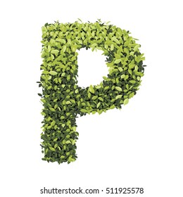 Alphabet of green leaves collection. Decorative symbols isolated on white background.