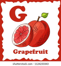 Alphabet for kids with fruits. Healthy letter abc G-Grapefruit.