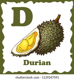 Alphabet for kids with fruits. Healthy letter abc D-Durian