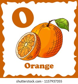 Alphabet for kids with fruits. Healthy letter abc O-Orange.