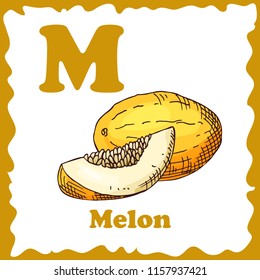 Alphabet for kids with fruits. Healthy letter abc M-Melon.