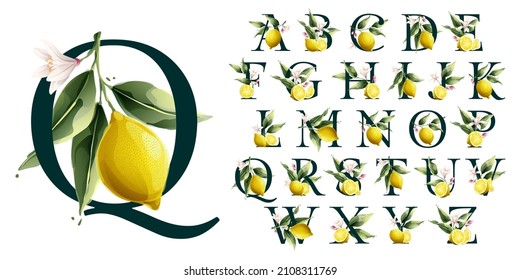 Alphabet with lemons in vector watercolor style. Illustration of green leaves, flowers, buds, and branches. Citrus fruit slices and splashing juice arrangements.