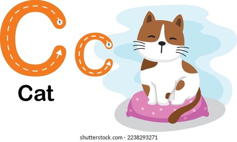 Alphabet Letter C-Cat with cartoon vocabulary illustration, vector