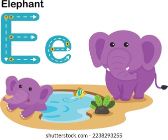 Alphabet Letter E-Elephant with cartoon vocabulary illustration, vector
