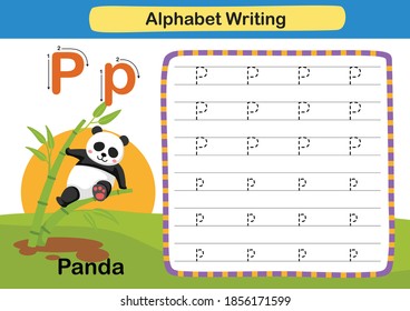 Alphabet Letter-Übung P-Panda mit Cartoon-Vokabular-Illustration, Vektorgrafik
