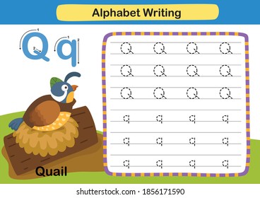 Alphabet Letter exercise Q-Quail with cartoon vocabulary illustration, vector