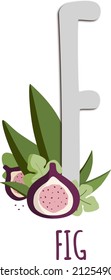 Alphabet. The letter F. Cute fig. Illustration on transparent background. A vector illustration of alphabet from A to Z.