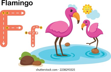 Alphabet Letter F-Flamingo with cartoon vocabulary illustration, vector