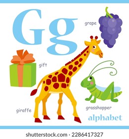 Alphabet letter G with cartoon vocabulary illustration: giraffe, grape, gift, grasshopper. Cute children ABC alphabet flash card with letter G for kids learning English vocabulary.