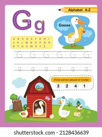 Alphabet Letter G - Goose  exercise with cartoon vocabulary illustration, vector