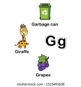 Alphabet Letter G-garbage can,grapes,giraffe vector illustration