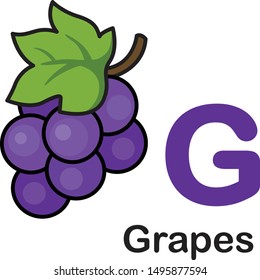 G is for Grapes Images, Stock Photos & Vectors | Shutterstock