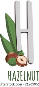 Alphabet. The letter H. Cute hazelnut. Illustration on transparent background. A vector illustration of alphabet from A to Z.
