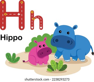 Alphabet Letter H-Hippo with cartoon vocabulary illustration, vector