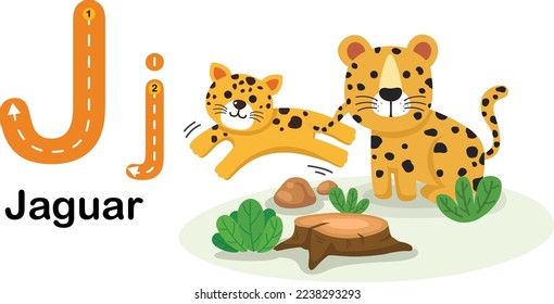 Alphabet Letter J-Jaguar with cartoon vocabulary illustration, vector