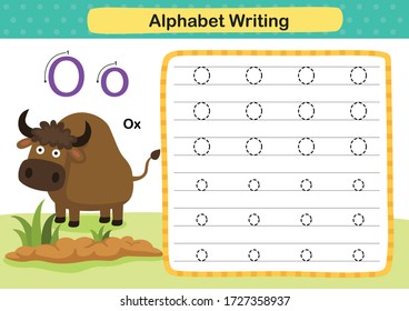 Alphabet Letter O-Ox exercise with cartoon vocabulary illustration, vector