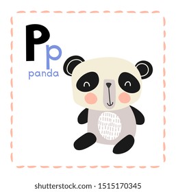 Alphabet letter P for Panda for teaching kids with upper and lower case letters alongside a little cute panda with sad eyes, educational vector