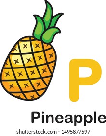 Alphabet Letter P-Pineapple vector illustration