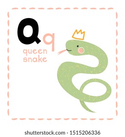 Alphabet letter Q for Queen Snake for teaching kids with upper and lower case letters alongside a little cute Queen Snake, educational vector