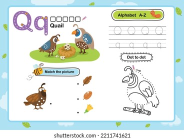 Ejercicio Q-Quail de letra alfabeta con ilustración de vocabulario de dibujos animados, vector