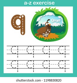 Alphabet Letter Q-quail exercise,paper cut concept vector illustration