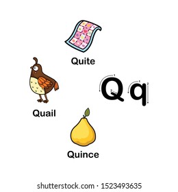 Alphabet Letter Qquailquincequite Vector Illustration Stock Vector ...