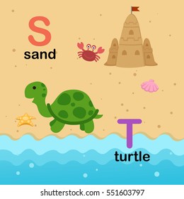 Alphabet Letter S-sand,T-turtle,vector illustration