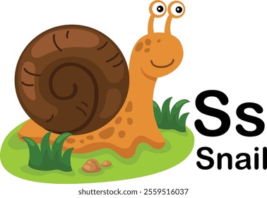 Alphabet Letter S-Snail with cartoon vocabulary illustration, vector