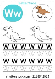 Alphabet letter tracing W for Walrus