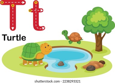 Alphabet Letter T-Turtle with cartoon vocabulary illustration, vector