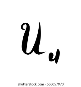 alphabet letter u lettering vector calligraphy manuscript