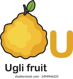 Alphabet Letter U-Ugli fruit vector illustration