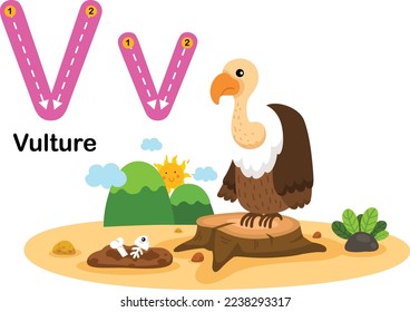 Alphabet Letter V-Vulture with cartoon vocabulary illustration, vector