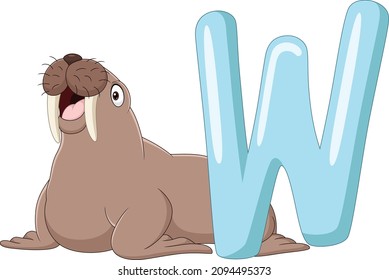 Alphabet letter W for Walrus