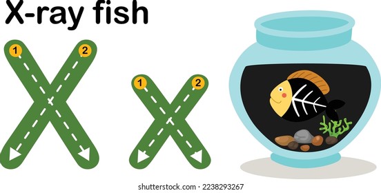 Alphabet Letter X-Xray fish with cartoon vocabulary illustration, vector